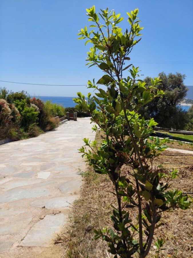 Skinammos Eco Villas Marmari  エクステリア 写真