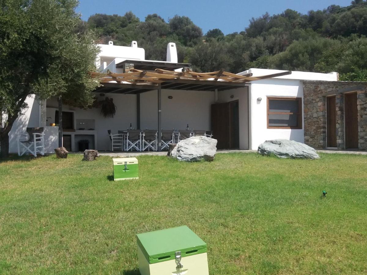 Skinammos Eco Villas Marmari  エクステリア 写真